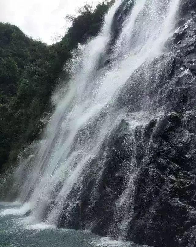 上仙有毒